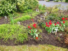 Et aussi 9 * 4000 x 3000 * (4.51MB)